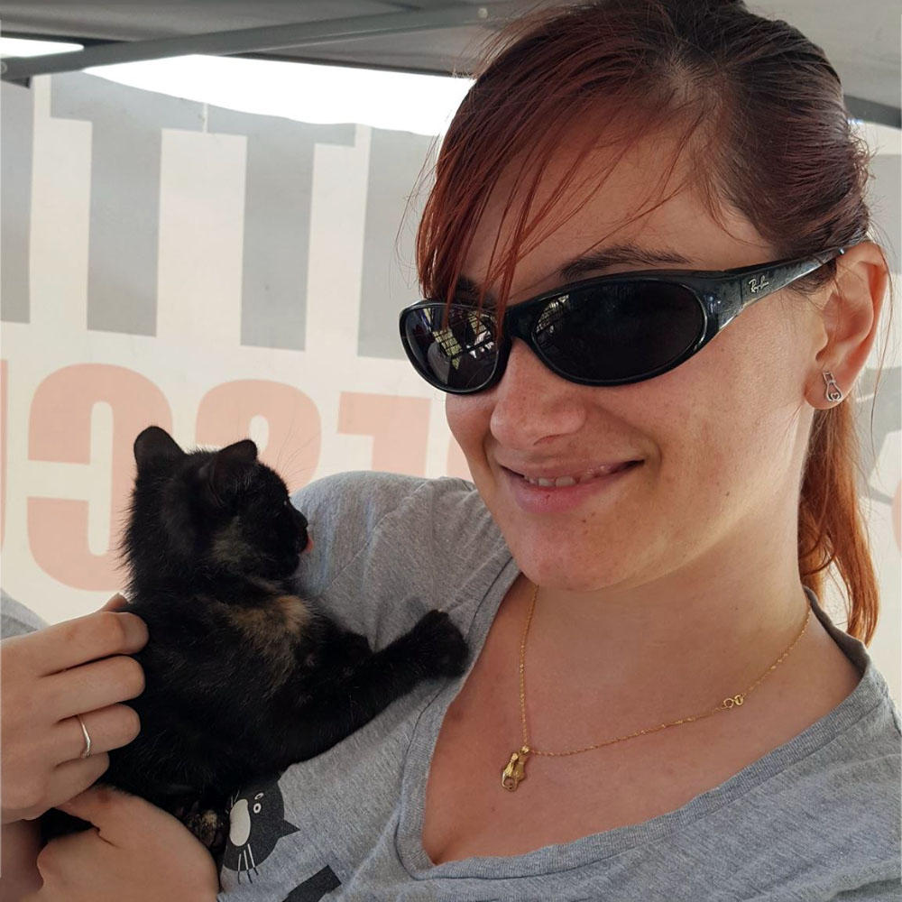 Kitten Rescue Volunteer Opportunities