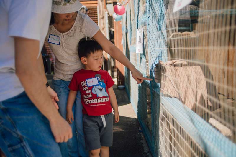 Kitten Rescue's Open House