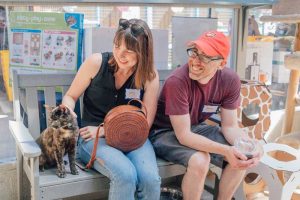 Kitten Rescue's Open House