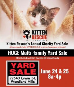 Kitten Rescue's Annual Charity Yard Sale