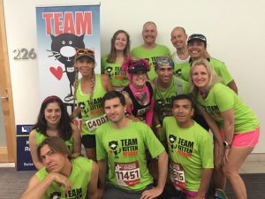 Team Kitten Rescue in 2017 LA Marathon