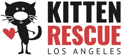 Kitten clearance rescue sanctuary