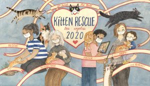 Kitten Rescue Fur Ball 2020
