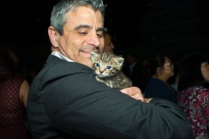 Become a Kitten Rescue Fur Ball Sponsor
