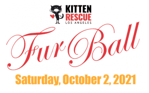 Kitten Rescue Fur Ball date