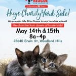 Kitten Rescue Yard Sale 2022